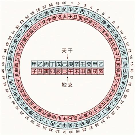 2020年天干地支|2020年天干地支对照表 干支日历表